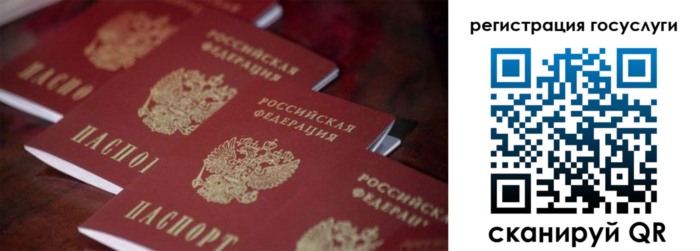 где прописаться в Славгороде